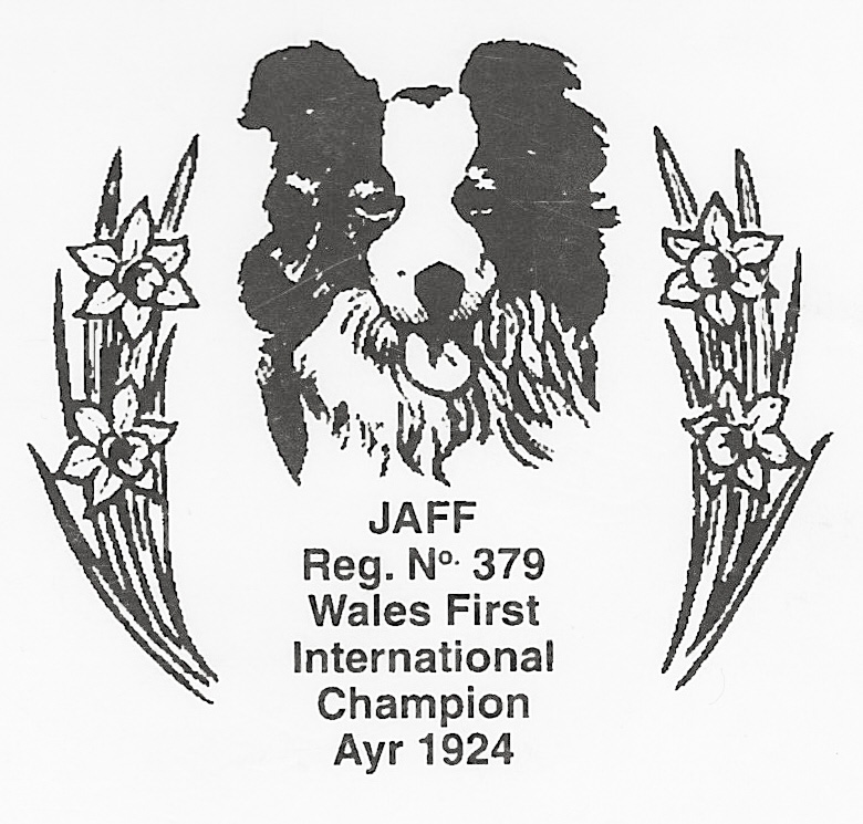 North Wales Sheep Dog Society
