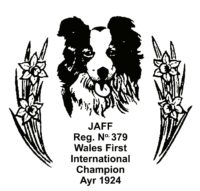 North Wales Sheep Dog Society